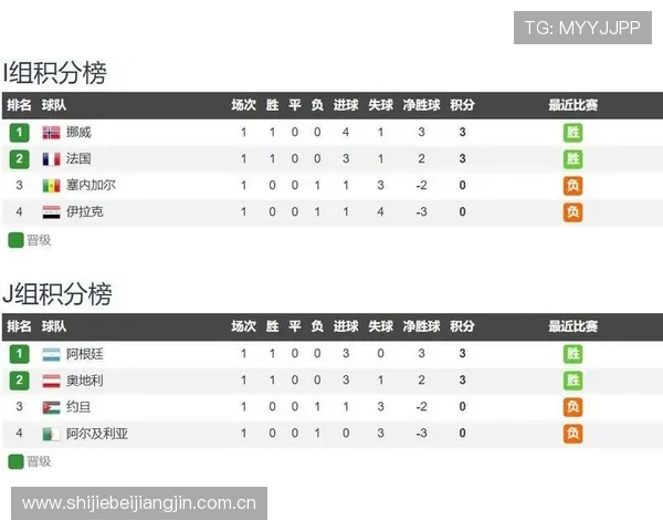 伊拉克对阵法国世界杯比赛的战术解析与关键球员表现总结